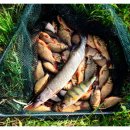 삼합낚시터 이미지