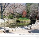 순천-46호 이미지