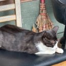 은파호수공원 9-2 이미지