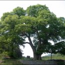 경인초교 이미지