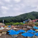 월드 연무관 합기도 이미지