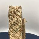 샤론헤어화장품 이미지