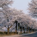 정읍한우 이미지