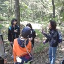 숲길 걷기 동아리 활동 이미지