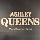 노엘동물병원 | 애슐리 퀸즈 이마트 목동점 내돈내산 후기