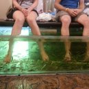 실론농장 이미지