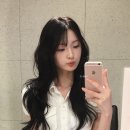 데이미헤어