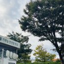 일진행정사사무소 이미지