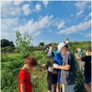 천일태권도장 이미지