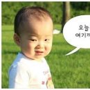하루 이미지