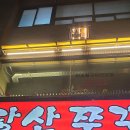 신도계 이미지