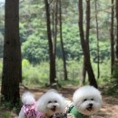 메종카누네 이미지