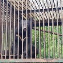 웅담농장 이미지