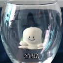 수원 가성비 오마카세 : “스시이찌 수원신동점” 주말 디너 콜키지 후기
