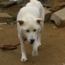 금풍농장 이미지