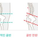 엘리나 필라테스 이미지