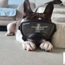 맑은숲동물병원 이미지