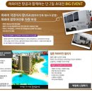 하니여행사