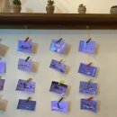 돌고래하우스 이미지