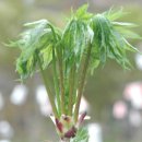 마루미농장 이미지