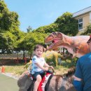 경산공룡박물관 이미지