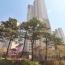 소담동_새샘201동 이미지