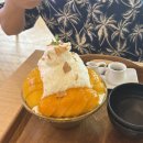 (사)문화두레어처구니 | [신혼여행] 🇻🇳다낭/호이안/뗏기간에 방문한 절망편/편식쟁이의 솔직후기🤫