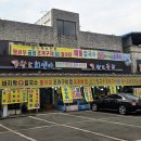비호수산 | [제부도] 바다 보이는 해산물 한가득 쭈꾸미도 통통 "일품회센타"