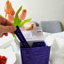 클린축산 | 글루텐 94%분해!? 밀가루 덕후가 정착한 '클린핏 효소라이너' 솔직후기