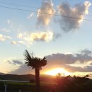 JNJ빌리지 이미지