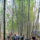 (주)자연과생명 이미지