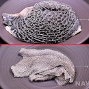 막창이야기 이미지