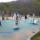 도원체육공원 인라인스케이트장 이미지