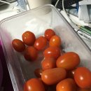 화남한의원 | 지구 이야기