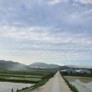 연근농장 이미지