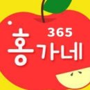 365홍가네