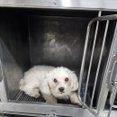 노원-상계-2851 이미지