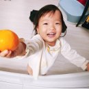 대한고시평가원