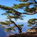 제1.686차 2월5일 청도남산(870m)&미나리 삼겹살산행 예약방 이미지