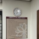 로뎀트리스파 이미지