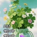 수원-0377 네이버블로그