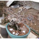 놀부농장 이미지