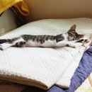 들꽃펜션 이미지