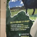 양지흑염소 이미지