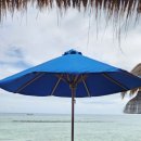 까사보니따 이미지