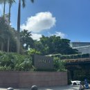 애프터눈커피 화장실 | 25.11.08 홍콩 침사추이 리젠트 호텔 애프터눈티 추천, K11뮤제아, 익청빌딩