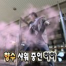 아일랑트