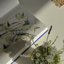 비즈공예: 손끝으로 만드는 재밌는 소품 이야기(5월) | 누구나 완성할 수 있는 나만의 비즈식물 클래스｜부산공방 시옷지읒