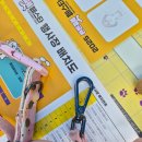 튼튼펫 | 2025 튼튼 펫 페스타 후기: 반려동물과 함께한 행복한 가을날