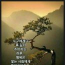애창 이미지
